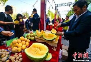 仙居最新吃瓜新闻视频,揭秘当地热门事件视频幕后真相