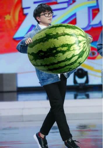 毛不易吃瓜群众,从吃瓜群众到音乐才子的蜕变之路