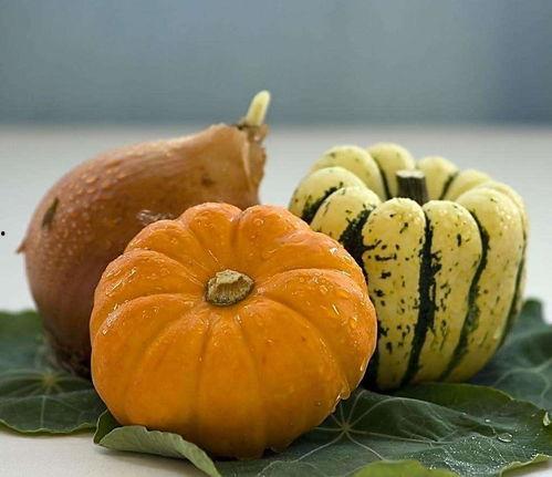 窩瓜怎么吃,解锁美味新体验