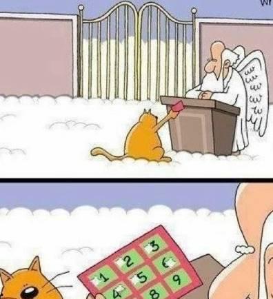 吃瓜女孩搞笑段子,吃瓜女孩的欢乐段子集锦