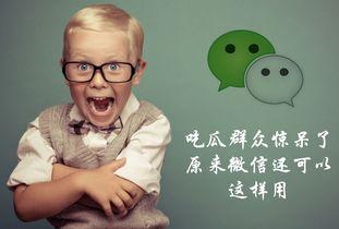 ok吃瓜群众,OK吃瓜群众背后的故事