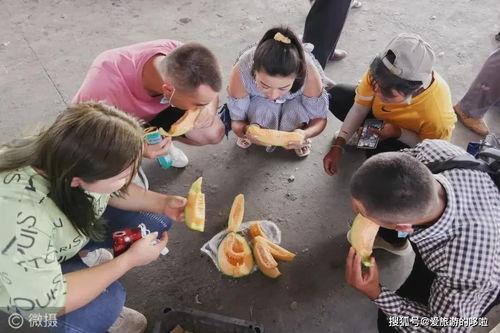 各地吃瓜姿势,一瓜在手，清凉一夏