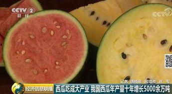 吃瓜群众赞中国,共赏盛世繁华