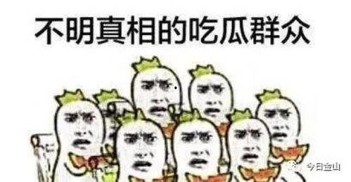 吃瓜群众16号,揭秘吃瓜群众16号背后的故事