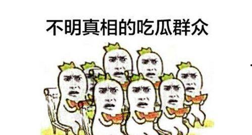 吃瓜群众偶遇趣事,吃瓜群众见证的趣味瞬间